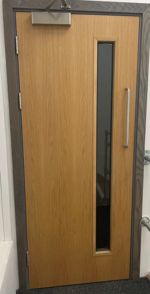 Oak veneered door with a tall vision panel and pull handle